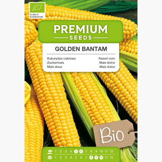 BIO Zuckermais - Golden Bantam - Gesund, Ideal Zum Kochen Und Grillen