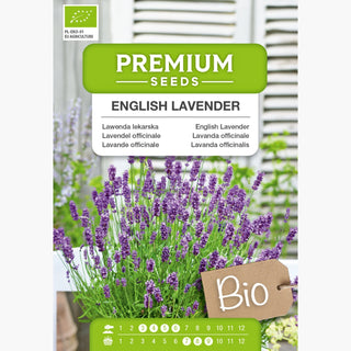 BIO Lavendel officinale - Beruhigender Duft, Wertvolle Eigenschaften - Lavandula officinalis