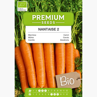 BIO Möhre Nantaise 2 - Frühe Sorte, Saftig Im Geschmack