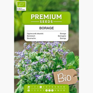 BIO Borretsch - Schöne Und Nektarreiche Pflanze - Borago officinalis
