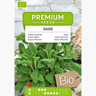 BIO Echter Salbei - Intensives Aroma, Mehrjährig, Robust - Salvia officinalis