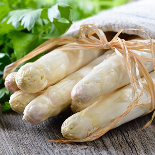 Spargel - Argenteuil - Fleischige Stängel, Weiße Sorte, Zarte Triebe - Asparagus officinalis - Premium-Saatgut