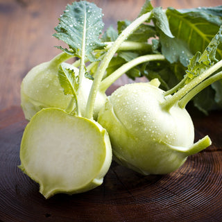 Kohlrabi - Delikatess Witte - Kurze Vegetationszeit, Hohe Qualität - Premium-Saatgut