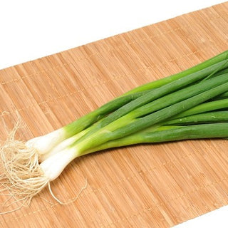 Lauchzwiebel - Long White Ishikura - Für Die Ernte Während Der Ganzen Saison