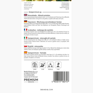 Hauswurz Mischung verschiedener Sorten - Dekoration für Töpfe, frostresistent - Sempervivum sp.
