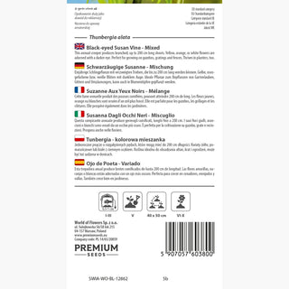 Schwarzäugige Susanne - Mischung - Leicht Zu Kultivieren, Kletternd Bis 3 Meter - Thunbergia alata