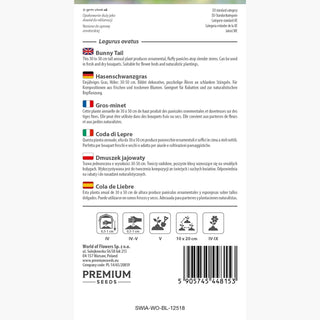 Hasenschwanzgras - Besonders dekorative, flauschige Ähren - Lagurus ovatus