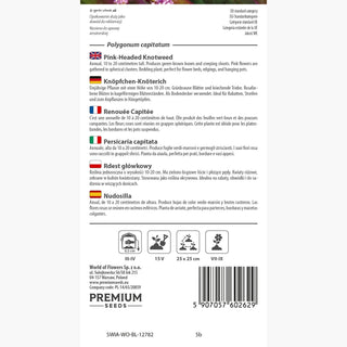 Knöpfchen-Knöterich - Robust, Zierend, Stark Wüchsig - Polygonum capitatum