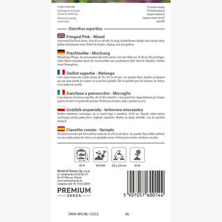 Prachtnelke - Mischung - Auffallende Farben - Dianthus superbus