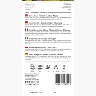 Sommeraster - Straußenfeder - Mischung - Einzigartige Komposition von Farben und Formen - Callistephus chinensis
