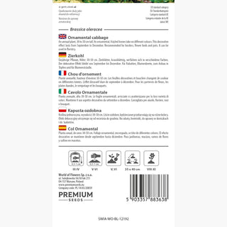 Zierkohl - Bunte Dekoration für jede Jahreszeit - Brassica oleracea