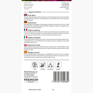 Sternmoos - Charmante Beeteinfassung, Edle Rabattenpflanze - Sagina subulata