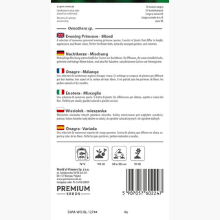 Nachtkerze - Mischung - Blüht Von Spätfrühling Bis September - Oenothera sp.