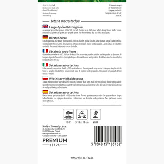 Borstenhirse - Auffällige Blütenstände, leicht zu kultivierendes Ziergras - Setaria macrostachya