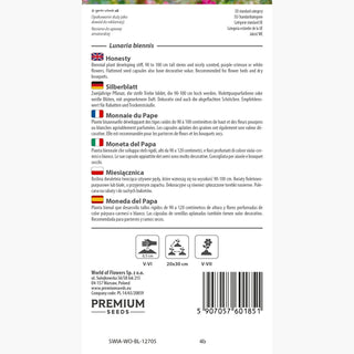 Silberblatt - Dekorativ Den Ganzen Sommer - Lunaria biennis