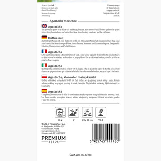Duftnessel - Robust, blüht den ganzen Sommer, lavendel- und weiße Ähren - Agastache mexicana