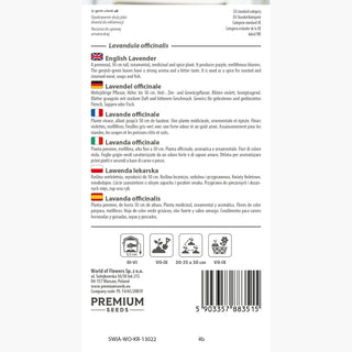 Lavendel officinale - Aromatische Königin der Gärten - Lavandula officinalis