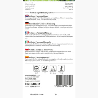 Federbusch-Celosien Mischung - Kammartige Blütenstände, ideal für Beete und Töpfe - Celosia argentea var. plumosa