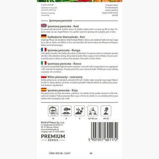 Gefiederte Sternwinde - Rot - Dekorative Sternblüten Für Pergolen - Ipomoea pennata
