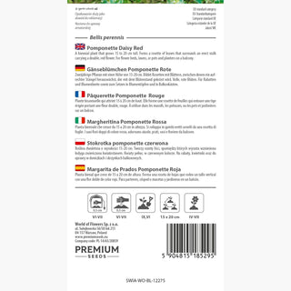 Gänseblümchen Pomponette Rote - Volle Blütenstände, niedrige Höhe, ideal für Beete und Behälter - Bellis perennis
