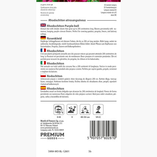 Rosenkleid - Perfekt Violett Für Hängekörbe - Rhodochiton atrosanguineus