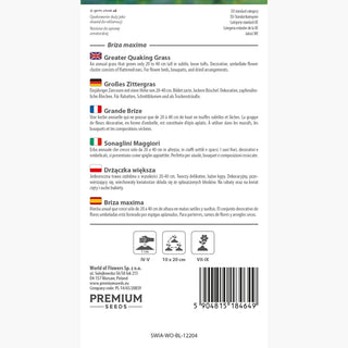 Großes Zittergras - Zarte Ziergräser mit originellen Blütenständen - Briza maxima