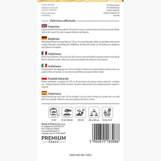 Baldrian - Natürliches Heilmittel gegen Schlaflosigkeit, blüht den ganzen Sommer - Valeriana officinalis