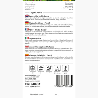 Studentenblume - Pascal - Perfekt Für Niedrige Beete - Tagetes patula
