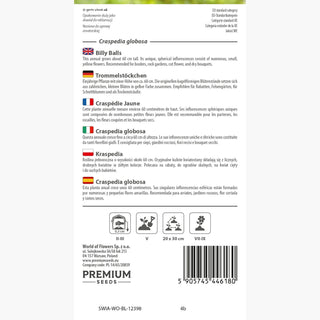 Trommelstöckchen - Gelbe kugelförmige Blütenstände, besonders schön und auffällig - Craspedia globosa