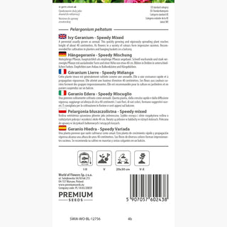Hängegeranie - Speedy Mischung - Ideal Für Hängetöpfe - Pelargonium peltatum