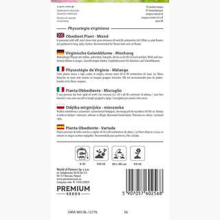 Virginische Gelenkblume - Mischung - Pastellfarbene Blütenmischung - Physostegia virginiana