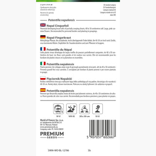 Nepal-Fingerkraut - Mehrjährig, Zierende Gelbe Blüten - Potentilla nepalensis