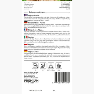 Melonenbirne Pepino - Dekorative Pflanze Mit Essbaren Saftigen Früchten - Solanum muricatum
