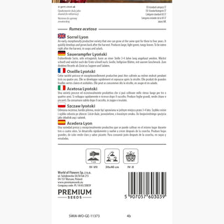 Sauerampfer Lyoński - Mehrjährig, Robust, Schnellwachsend