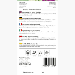 Blumenkohl Di Sicilia Violetto - Attraktive, violette Röschen, einzigartiger, scharfer Geschmack - Brassica oleracea var. botrytis