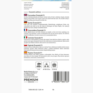Gurke Śremski F1 - Früh, krankheitsresistent - Premium Seeds