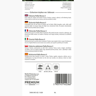 Zichorie Palla Rossa 3 - Ideal für Salate – frische und knusprige Blätter - Cichorium intybus var. foliosum