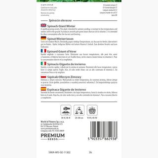 Spinat Winterriesen - Zarter Geschmack, reichliche Ernte - Spinacia oleracea