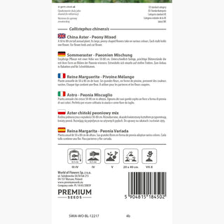 Sommeraster Paeonien Mischung - Große, volle Blumen wie Pfingstrosen, ideal für Beete und Sträuße - Callistephus chinensis