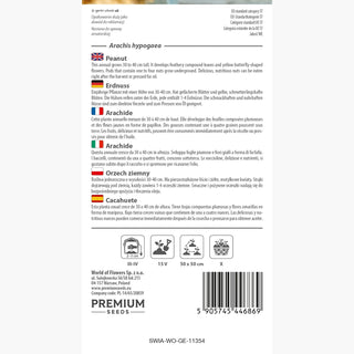 Erdnuss - Schön blühend, mit reichlicher Nussernte - Arachis hypogaea