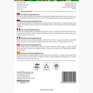 Erbsen Sechswochen - Blitzschnelle Ernte, ideal für den direkten Verzehr - Pisum sativum