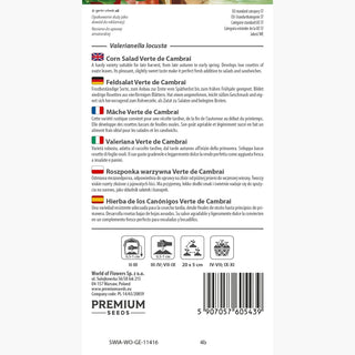 Feldsalat - Verte de Cambrai - Reich An Vitaminen, Mildes Aroma - Valerianella locusta