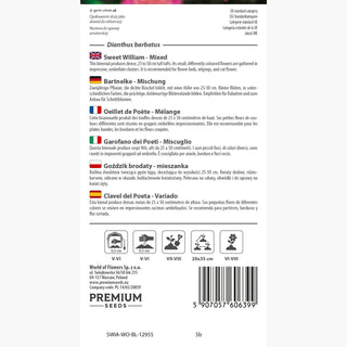 Bartnelke - Mischung - Bunte Zierde Für Klassische Beete - Dianthus barbatus