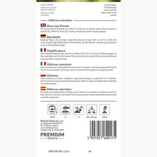 Blaudolde - Perfekt Für Die Gruppenpflanzung - Didiscus caeruleus