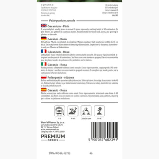 Geranie - Rosa - Leicht Für Die Kübelbepflanzung - Pelargonium zonale