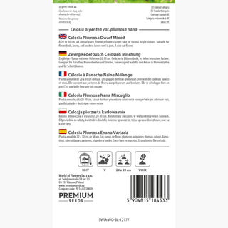 Zwerg Federbusch Celosien Mischung - Intensiv farbige Blumen, ideal für Beete und Behälter - Celosia argentea var. plumosa nana