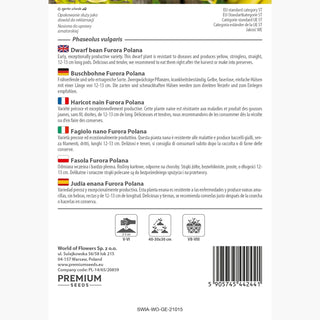 Buschbohne Furora Polana - Reichliche Ernte, zarte, fleischige Hülsen