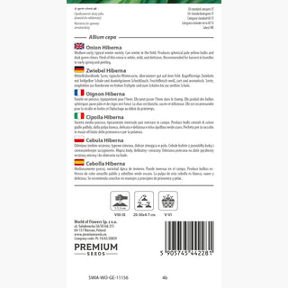 Zwiebel Hiberna - Groß und saftig – ideal zur Lagerung - Allium cepa