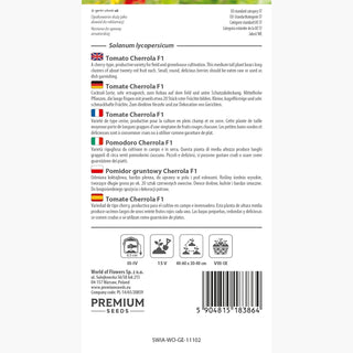 Tomate Cherrola F1 - Besonders Süß, Robust, Ertragreich