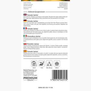 Tomate Jantar - Einfacher Anbau, hoher Ertrag, hervorragender Geschmack